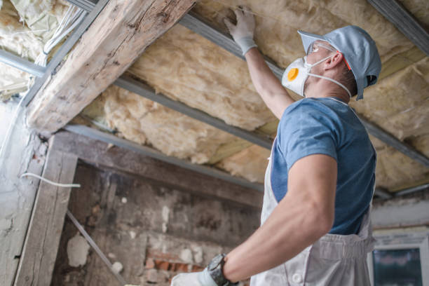 Best Eco-Friendly Insulation in Fort Lauderdale, FL