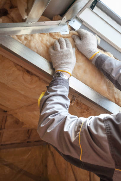 Types of Insulation We Offer in Fort Lauderdale, FL