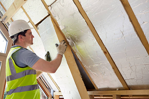 Best Geographic-Specific Insulation Services in Fort Lauderdale, FL