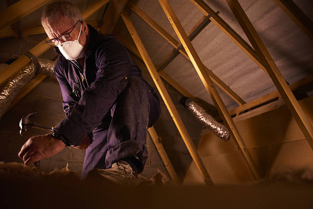 Types of Insulation We Offer in Fort Lauderdale, FL
