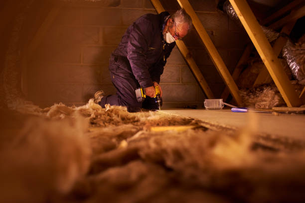 Best Cellulose Insulation in Fort Lauderdale, FL